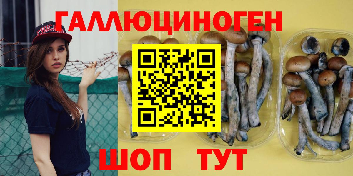 Мытищи  Псилоцибиновые грибы мухоморы  Вход с VPN 